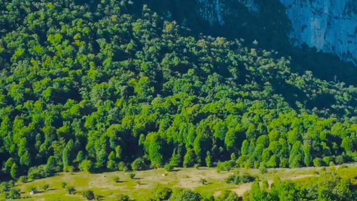 Soul-Soothing Quran Recitation with Stunning Nature Scenery | Beautiful Quran Tilawat