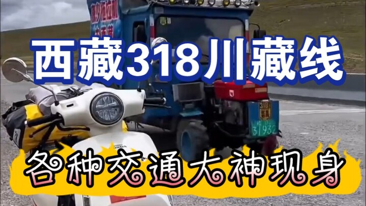 On Tibet’s Sichuan-Tibet Highway 318, all sorts of transportation experts have shown up!
