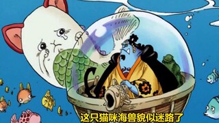 [Truyện trang truyện Vu Hải Tặc] Jinbei không chỉ phá án bí ẩn mà còn nhặt được một đoạn văn lịch sử