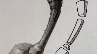 【رسم الطبيعة الصامتة】 طريقة رسم عنق الإجاص