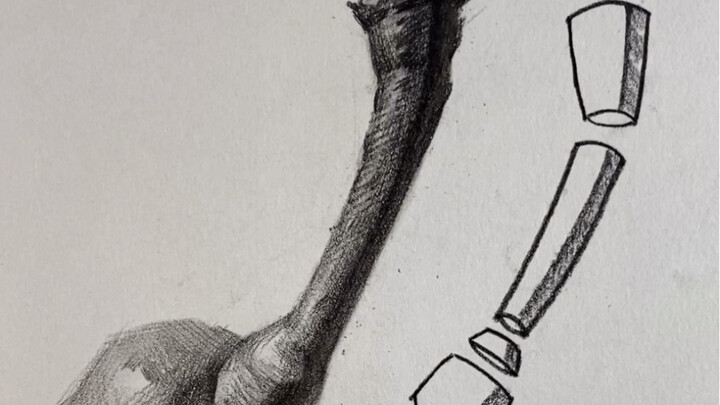 【ภาพนิ่งสเก็ตช์】วิธีวาดก้านลูกแพร์