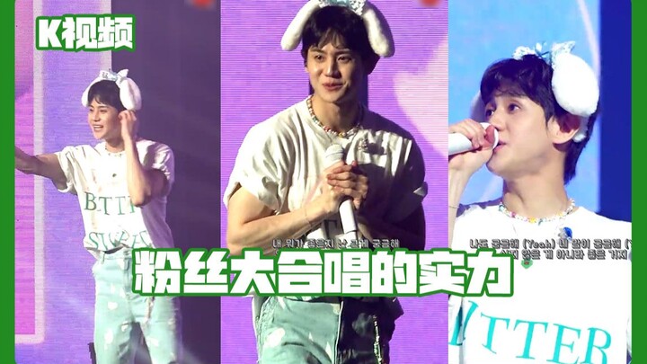 The Power of a Fan Flash Mob!