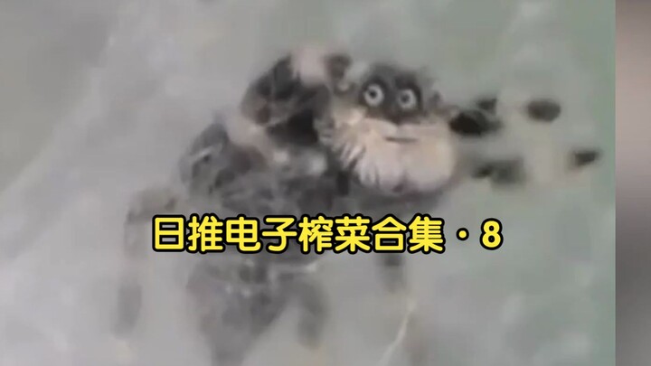 【محتوى مترجم】تشكيلة من «الخلطة الإلكترونية» التي جُمعت من التغريدات اليابانية · 8