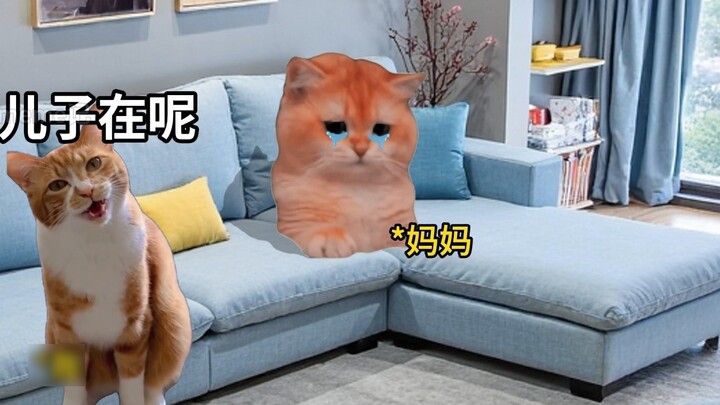 في الواقع، أنا أرغب حقًا في الاهتمام بك