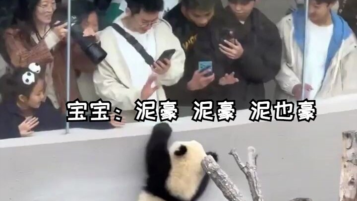 الطفل: نيه هاو، نيه هاو، نيه يه هاو!