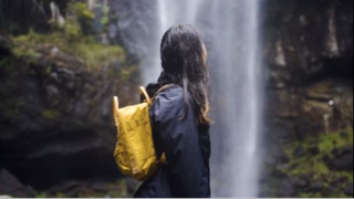 Forest Falls -- Cinematic Travel Film - Sony A7III