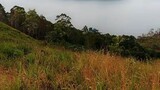 pemandangan gunung dan danau