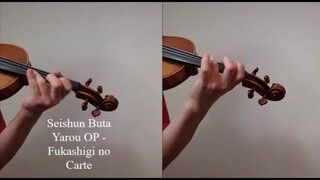 Fukashigi no Carte - Seishun Buta Yarou wa Bunny Girl Senpai no Yume wo Minai ED [Violin Cover]