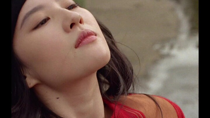 [Emporio Armani’s New Brand Ambassador Liu Yifei]