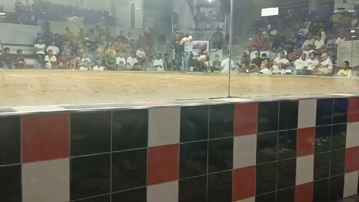 new montalban cockpit arena 2hits champion 2nd fight