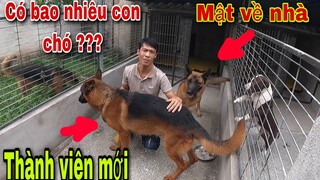 Săn Bắt Ẩm Thực Vùng Có Bao Nhiêu Con Chó ??? Và Những Giống Chó Gì ??? | TQN86