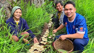 เห็ดบดเต็มขอนเกือบบินหนี!! พร้อมเผยอุปกรณ์ถ่ายคลิปและอัพคลิปให้ชัด