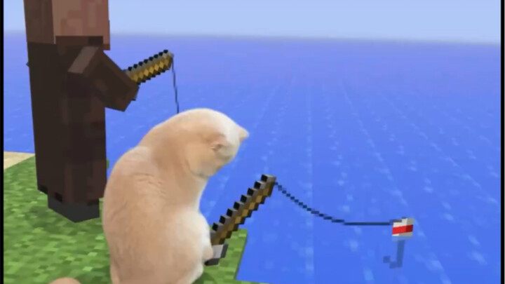 Yoyo’s Fishing Day with the Villagers