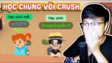 Học Chung Với "Crush" Trong PLAY TOGETHER | Sheep