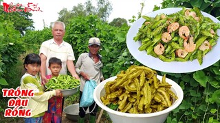 Kỹ Thuật Trồng Đậu Rồng Xào Tôm Và Làm Dưa Chua Theo Kiểu Dân Dã Miền Tây | NKGĐ