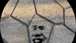 I really like the park tiles...