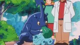 [Pokémon] Một Heracross được thuần hóa để lấy mật hoa của Bulbasaur