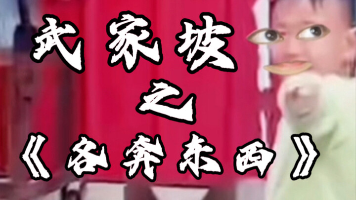 武家坡之《各奔东西》