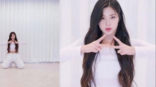 【tripleS เหนียนซี】เต็มสปีดเต้นคัฟเวอร์เพลง Menagerie ของ หลิวจื้อหมิน!