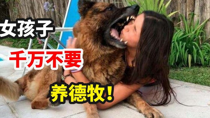 Girls, absolutely don’t get a German Shepherd!