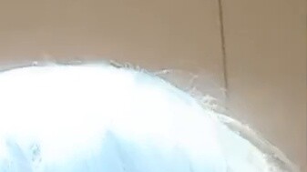 [A-SOUL/Jia Le Sheng He] Dongbai Past Collector's Edition