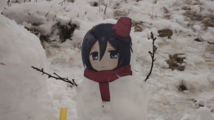 ❄️Wild Mikasa in the snow❄️