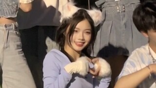 สาวหูแมวแต่ไม่เปราะบาง