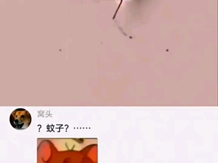 #คอมเมนต์เด็ด #ตลก #แบ่งปันความสุข