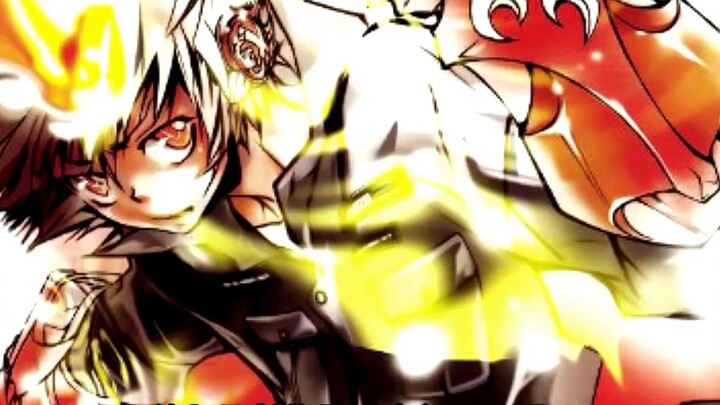 "Katekyo Hitman Reborn" Inheritance P10 The sky that illuminates the earth XX-Burner