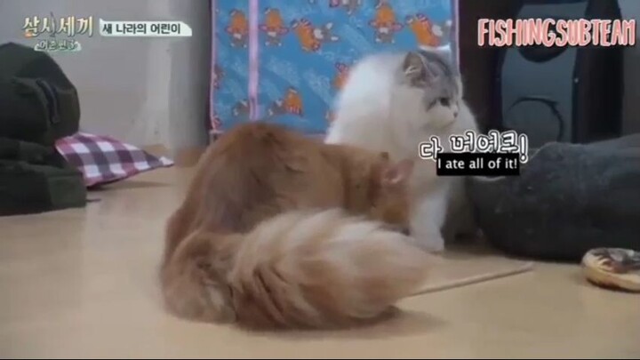 3 Meals A Day Deukryang Island E10