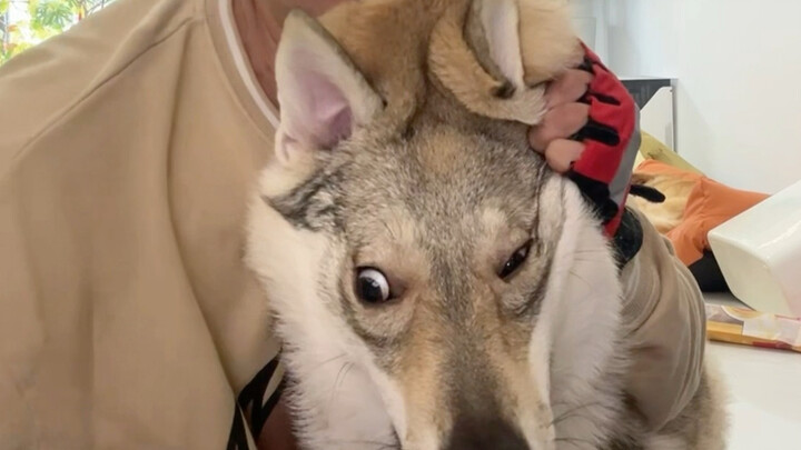 วิดีโอแบบยาวที่ทุกคนรอคอยมาแล้ว!