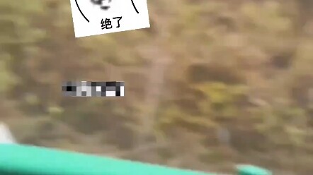 Pria di jalan tol minta pinjam uang ke pemilik BMW untuk beli bensin: “Pinjam 200–300 yuan, nanti di