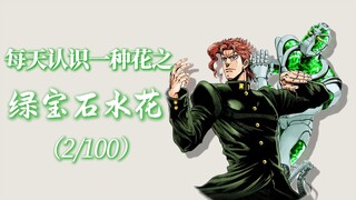 “绿宝石水花的花语是孤勇的守望与刹那的永恒。”