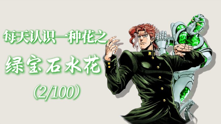 “绿宝石水花的花语是孤勇的守望与刹那的永恒。”