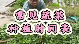 常见酸菜种埴时间表