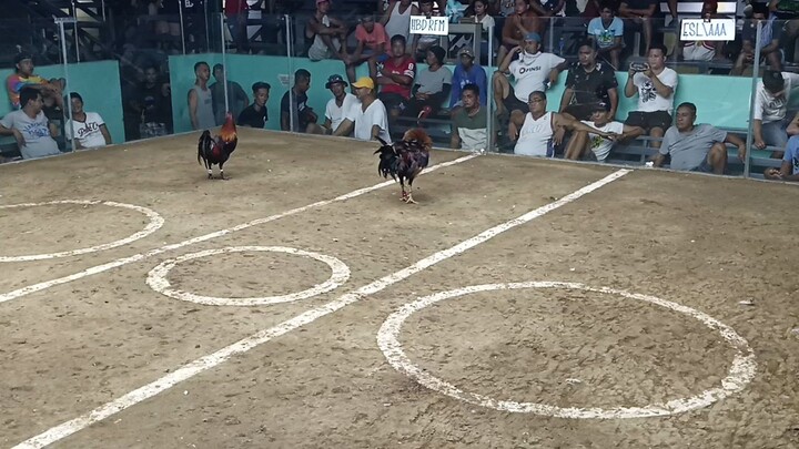 2nd fight win