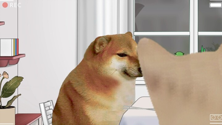 cheems, cậu không đi được à