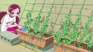 Chiến Binh Kết Nối Trái Tim|tập 22|thuyết minh