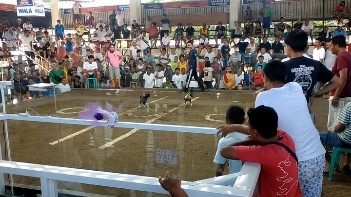 2nd fight talisay ulit champion 🏆🏆🏆🏆🥇