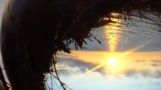 财富