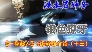 Pengenalan pahlawan kelas S "One Punch Man" (13) Grandmaster "Liu Shuiyan Shattering Fist" Silver Fa