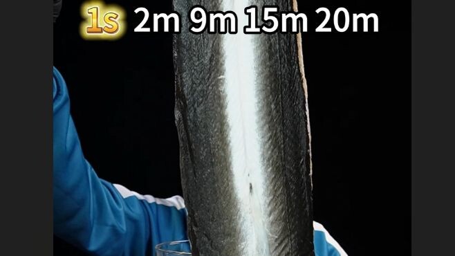 1s to 1-hour grilled eel challenge