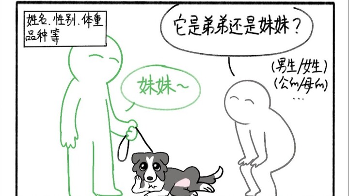 Practical Puppy Pickup Tips