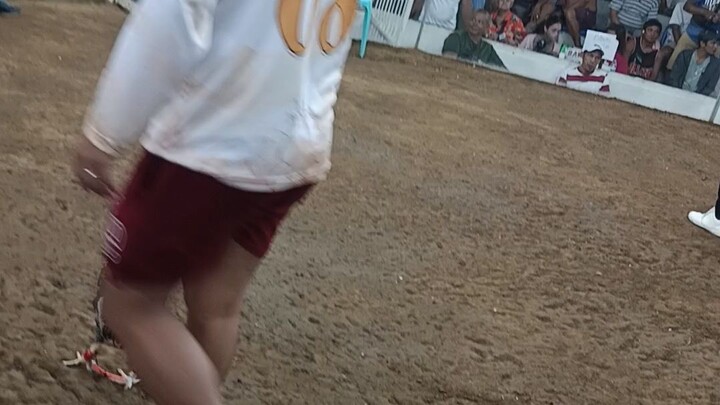 Igay arena lose