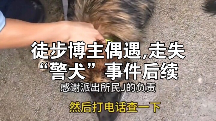 Follow-up to the Hiking Blogger’s Encounter with a Lost Police Dog