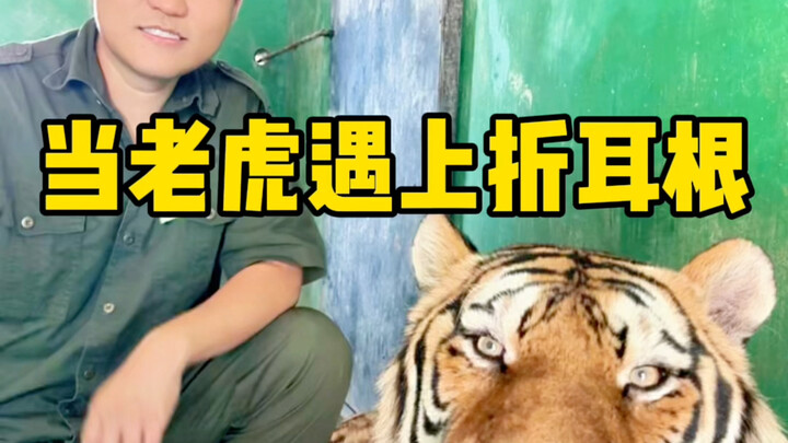 Reaksi kalian di luar dugaan saya!