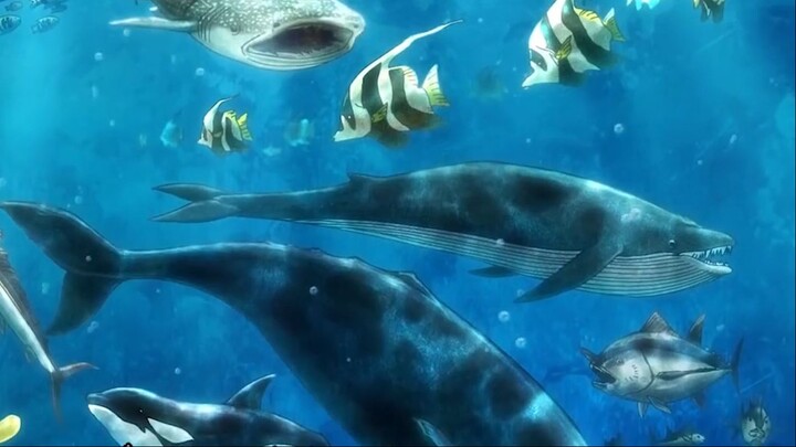 Bơi ngược chiều có khó chịu không cá sọc ơi - #anime