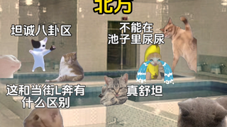 关于洗澡的南北方差异#真实还原#南北差异#搓澡#可爱小猫