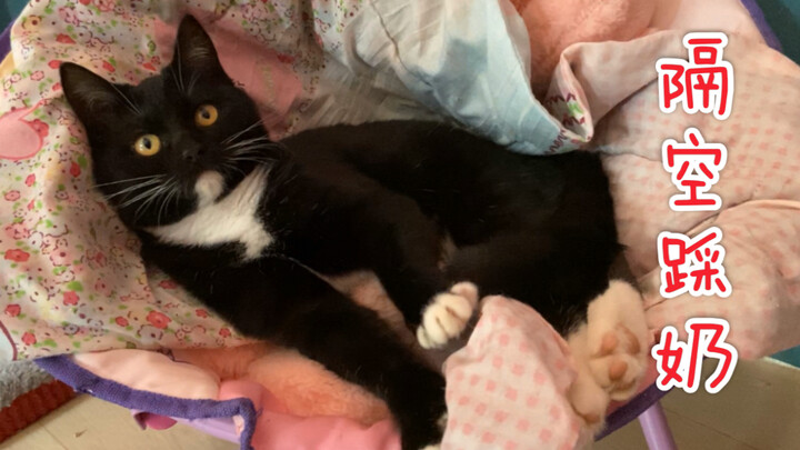 Watching this adorable little cutie madly knead its paws in peace—aren’t you feeling healed?