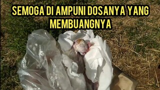 Anak Kucing Baru Lahir Di Buang Innalillahi Wa Inna Ilaihi Raji'un Teganya Manusia ini..!